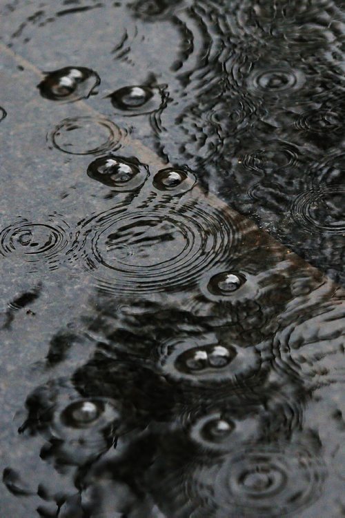 JOHN WOODS / WINNIPEG FREE PRESS
Puddles form on a wet Portage Avenue as rain falls Tuesday, May 15, 2018.