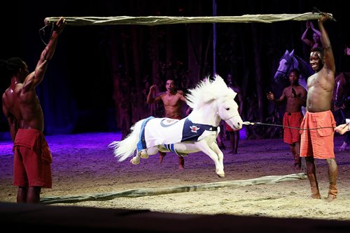 JOHN WOODS / WINNIPEG FREE PRESS
Performers entertain at the Cavalia Odysseo Tuesday, May 15, 2018.