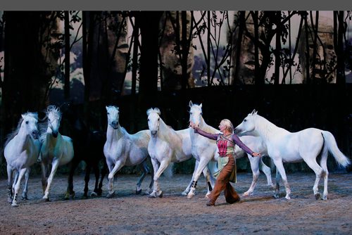 JOHN WOODS / WINNIPEG FREE PRESS
Performers entertain at the Cavalia Odysseo Tuesday, May 15, 2018.