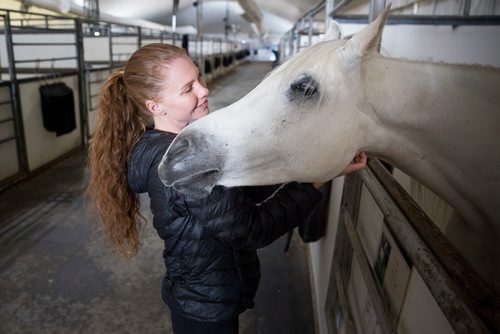 MIKE DEAL / WINNIPEG FREE PRESS
Aurelie Vozak, the logistics director of Odysseo by Cavalia.  
180516 - Wednesday, May 16, 2018.