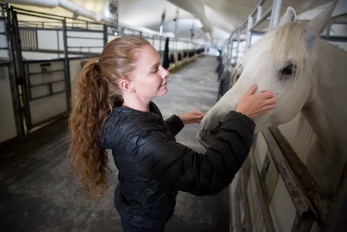 MIKE DEAL / WINNIPEG FREE PRESS
Aurelie Vozak, the logistics director of Odysseo by Cavalia, with Silver.  
180516 - Wednesday, May 16, 2018.