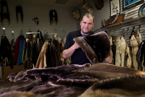 RUTH BONNEVILLE / WINNIPEG FREE PRESS

49.8 Nonsuch piece

Matthew Stepian with International Fur Dressers, is responsible for  dressing all the beaver pelts for the Nonsuch boat.  Portraits of him with beaver pelts on table in front of him as well as many other furs in showroom surrounding him.  


JILL WILSON | REPORTER / EDITOR


May 18,  2018
