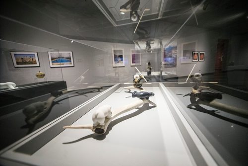 MIKAELA MACKENZIE / WINNIPEG FREE PRESS
SakKijâjuk, a new exhibit of Labrador Inuit art at the Winnipeg Art Gallery in Winnipeg on Friday, May 25, 2018.  
Mikaela MacKenzie / Winnipeg Free Press 2018.