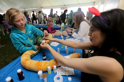 TREVOR HAGAN / WINNIPEG FREE PRESS
Ella Perche, 7, and her snake, September, with pharmacist, Julie Mistri, at the Teddy Bears Picnic in Assiniboine Park, Sunday, May 27, 2018.