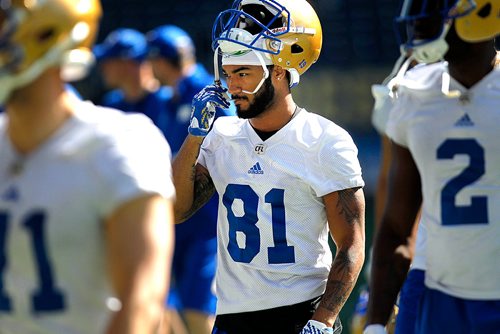 PHIL HOSSACK / WINNIPEG FREE PRESS - Bomber #81 Charles Nelson at a team workout Monday. Mike Sawatzsky story. - May 28, 2018