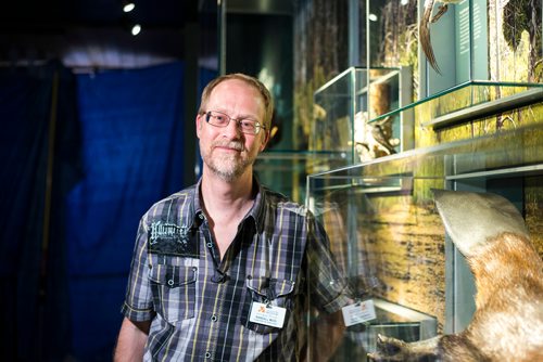 MIKAELA MACKENZIE / WINNIPEG FREE PRESS
Curator of zoology Randy Mooi in the revamped boreal forest exhibit at the Manitoba Museum in Winnipeg on Friday, May 25, 2018.  
Mikaela MacKenzie / Winnipeg Free Press 2018.