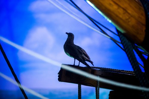 MIKAELA MACKENZIE / WINNIPEG FREE PRESS
The revamped Nonsuch exhibit at the Manitoba Museum in Winnipeg on Friday, May 25, 2018.  
Mikaela MacKenzie / Winnipeg Free Press 2018.