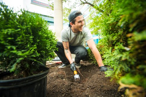 MIKAELA MACKENZIE / WINNIPEG FREE PRESS
Volunteer Sean McVey helps plant gardens at the Air Canada Park in Winnipeg on Wednesday, May 30, 2018.  The gardens showcase a variety of Indigenous plants, including sweet grass, lobelia, guara, Black-eyed Susan, wild strawberry, artemisia, and white cedar.
Mikaela MacKenzie / Winnipeg Free Press 2018.