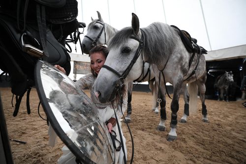 RUTH BONNEVILLE / WINNIPEG FREE PRESS

Cavalia Odysseo

Feature on Day in the life of a professional rider and her horse.  Photos shadowing  a Odysseo rider, Chelsea Jordan, and her horse Utah (brown) and other horses as they get ready for the show   prepping for the performance, makeup, hair, costume, rehearsals, pre-show rituals with rider/horse, some shots of show during water scene and  post-show wind down, shower, groom and treat time. 
Photos taken on May 31, 2018.

Fadista enjoys looking at himself in the mirror as Chelsea 
smiles next to him.  

See Erin Lebar story
June 5,  2018
