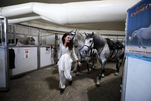 RUTH BONNEVILLE / WINNIPEG FREE PRESS

Cavalia Odysseo

Feature on Day in the life of a professional rider and her horse.  Photos shadowing  a Odysseo rider, Chelsea Jordan, and her horse pair (Judah, mostly, brown, but also other horses), as they get ready for the show   prepping for the performance, makeup, hair, costume, rehearsals, pre-show rituals with rider/horse, some shots of show during water scene and  post-show wind down, shower, groom and treat time. 
Photos taken on May 31, 2018.
Chelsea walks her two horses into the practice barn to rehears before the show. 

See Erin Lebar story
June 5,  2018
