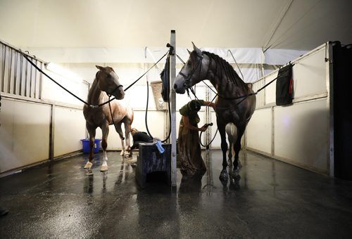 RUTH BONNEVILLE / WINNIPEG FREE PRESS

Cavalia Odysseo

Feature on Day in the life of a professional rider and her horse.  Photos shadowing  a Odysseo rider, Chelsea Jordan, and her horse Utah (brown) and other horses as they get ready for the show   prepping for the performance, makeup, hair, costume, rehearsals, pre-show rituals with rider/horse, some shots of show during water scene and  post-show wind down, shower, groom and treat time. 
Photos taken on May 31, 2018.
Grooms carefully wash down the horses after the show. 


See Erin Lebar story
June 5,  2018
