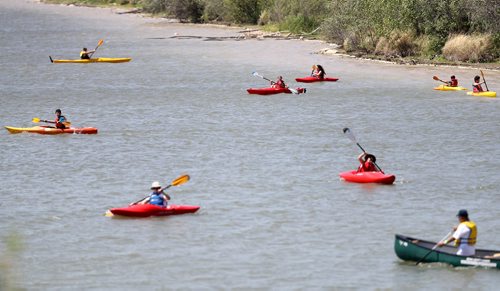 TREVOR HAGAN / WINNIPEG FREE PRESS
MEC Paddlefest, at FortWhyte, Sunday, June 10, 2018.