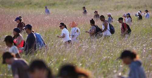 JOHN WOODS / WINNIPEG FREE PRESS
Volunteer search for Eduardo Balaquit in a field just outside the perimeter highway in Winnipeg Sunday, June 10, 2017.

