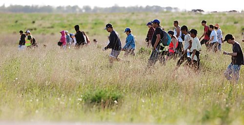 JOHN WOODS / WINNIPEG FREE PRESS
Volunteer search for Eduardo Balaquit in a field just outside the perimeter highway in Winnipeg Sunday, June 10, 2017.

