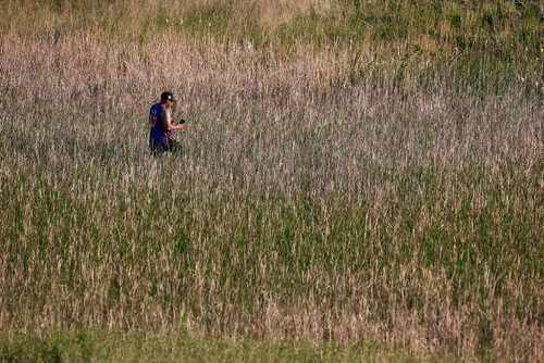 JOHN WOODS / WINNIPEG FREE PRESS
Volunteer search for Eduardo Balaquit in a field just outside the perimeter highway in Winnipeg Sunday, June 10, 2017.

