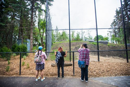 MIKAELA MACKENZIE / WINNIPEG FREE PRESS
Students from St. John's High School get a sneak peek of the new grey wolf exhibit, opening this Saturday, at Assiniboine Park Zoo in Winnipeg on Thursday, June 14, 2018. 
Mikaela MacKenzie / Winnipeg Free Press 2018.