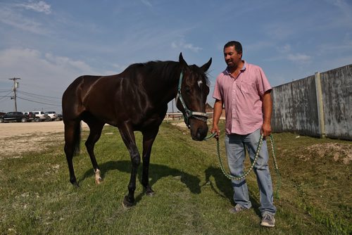 MIKE DEAL / WINNIPEG FREE PRESS
Eclipse Award winning trainer Juan Pablo Silva and horse Estherfourfourteen which will be running in Friday's Chantilly Stakes at Assiniboia Downs. 
190621 - Thursday, June 21, 2018