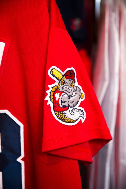 MIKAELA MACKENZIE / WINNIPEG FREE PRESS
Brenda Arnott in her basement, which is devoted to Goldeyes paraphernalia, in Winnipeg on Friday, June 22, 2018. 
Mikaela MacKenzie / Winnipeg Free Press 2018.