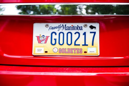 MIKAELA MACKENZIE / WINNIPEG FREE PRESS
Brenda Arnott in her basement, which is devoted to Goldeyes paraphernalia, in Winnipeg on Friday, June 22, 2018. 
Mikaela MacKenzie / Winnipeg Free Press 2018.