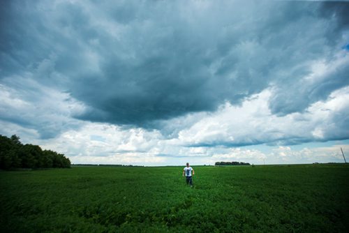 MIKAELA MACKENZIE / WINNIPEG FREE PRESS
Chris Federowich, vice-chairman of Parkland Industrial Hemp Growers Co-Op, poses in one of his hemp fields in Dauphin on Tuesday, June 26, 2018.
Mikaela MacKenzie / Winnipeg Free Press 2018.