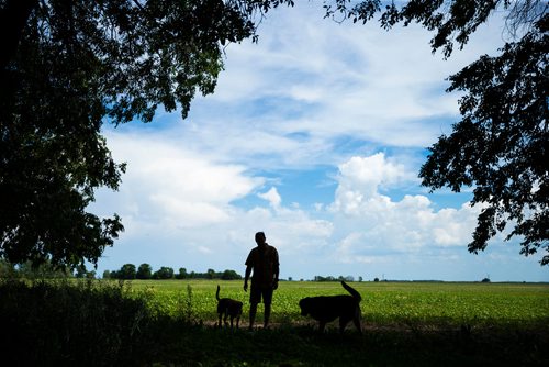 MIKAELA MACKENZIE / WINNIPEG FREE PRESS
Chris Dzisiak, president of the Parkland Industrial Hemp Growers Cooperative, poses for a portrait in his home outside of Dauphin on Tuesday, June 26, 2018.
Mikaela MacKenzie / Winnipeg Free Press 2018.