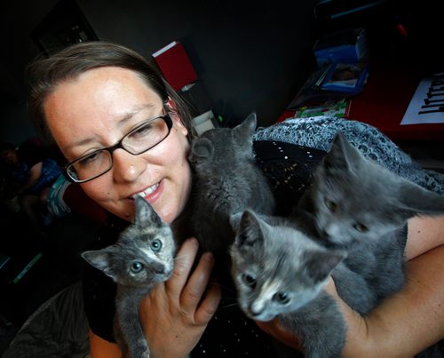 Phil Hossack / Winnipeg Free Press - Foster parent for the Winnipeg Humane Society Jill Bristow wrestles with a ball of fur containing four kittens, one of which is her 100th foster kitten. See Neil Coligan story.  June 29, 2018