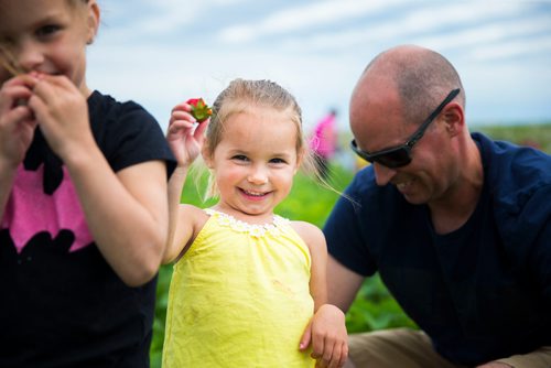 MIKAELA MACKENZIE / WINNIPEG FREE PRESS
Prestley Bjornson, two, shows off a strawberry at Cormier's Berry Patch, just outside of La Salle, on Tuesday, July 3, 2018.
Mikaela MacKenzie / Winnipeg Free Press 2018.