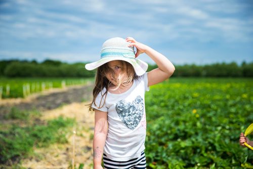 MIKAELA MACKENZIE / WINNIPEG FREE PRESS
Marley Darani, four, picks strawberries at Cormier's Berry Patch, just outside of La Salle, on Tuesday, July 3, 2018.
Mikaela MacKenzie / Winnipeg Free Press 2018.