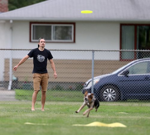 TREVOR HAGAN / WINNIPEG FREE PRESS
Nash, owned by Derek Micholson, jumps for a disc, at a Winnipeg Dog Frisbee Club event, Sunday, July 8, 2018.