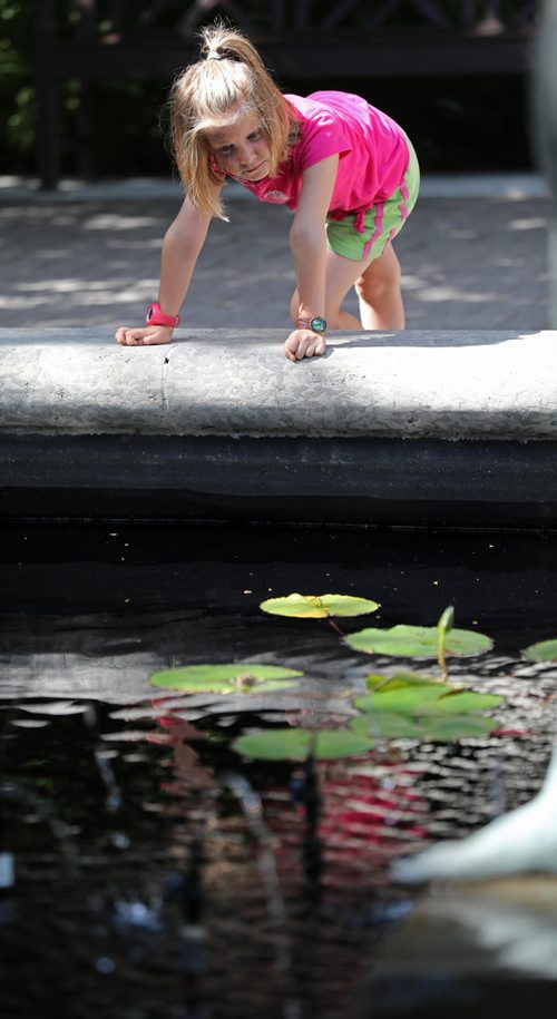 RUTH BONNEVILLE / WINNIPEG FREE PRESS


Florence St-Hilaire visiting Winnipeg with her family from Quebec, looks at her reflection in the Leo Mol sculpture pond at Assiniboine Park Monday.  

Standup 


July 09, 2018 
