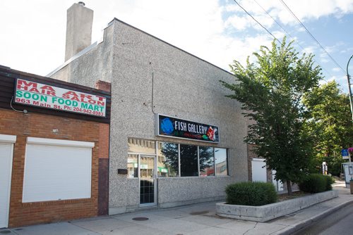 MIKE DEAL / WINNIPEG FREE PRESS
Fish Gallery at 959 Main Street.
Former site of the Times Theatre.
180710 - Tuesday, July 10, 2018.