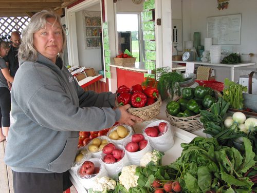 Canstar Community News July 3, 2018 - Pam Frank, who runs The Little Red Barn with husband Darren, holds one of the baskets containing peppers grown in the family's greenhouse near Oakville, (ANDREA GEARY/CANSTAR COMMUNITY NEWS)