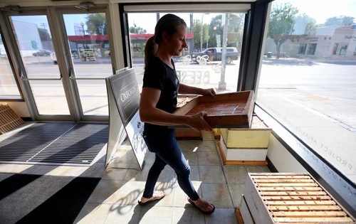 TREVOR HAGAN / WINNIPEG FREE PRESS
Lindsay Nikkel of Bee Project at 196 Osborne Street harvesting honey from one of their hives, Friday, July 13, 2018. 24hourproject