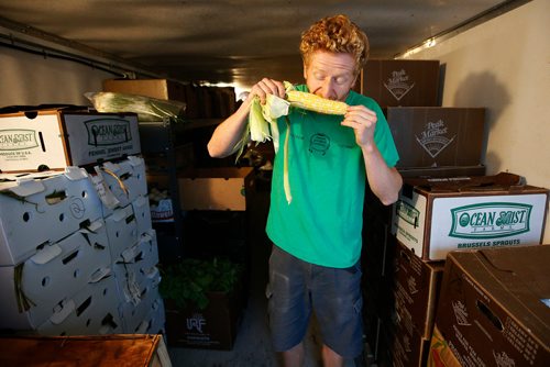 JOHN WOODS / WINNIPEG FREE PRESS
Colin Rémillard, co-owner of St-Léon Garden, test the freshness of some corn in the refrigerator in Winnipeg Friday, July 13, 2018. This is part of the 24hourproject
