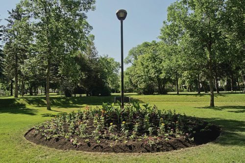 Canstar Community News July 18, 2018 - The central flower bed in Fisher Park has been planted for the first time in an estimated 10 years. The City Centre community committee recently approved a $100,000 grant towards upgrading the irrigation system for the flower bed and the redevelopment of the parks pathway. (DANIELLE DA SILVA/SOUWESTER/CANSTAR)