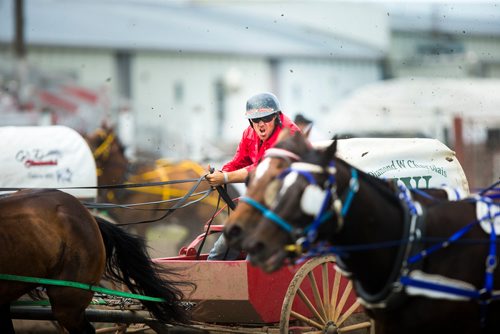 MIKAELA MACKENZIE / WINNIPEG FREE PRESS
Buddy Prouse starts out a winning heat in the pony chuckwagon races at the Manitoba Stampede in Morris on Thursday, July 19, 2018. 
Mikaela MacKenzie / Winnipeg Free Press 2018.