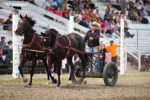 MIKAELA MACKENZIE / WINNIPEG FREE PRESS
Brynn Lee, five, jumps on the big chariot with Stu Stanbra at the Manitoba Stampede in Morris on Thursday, July 19, 2018. 
Mikaela MacKenzie / Winnipeg Free Press 2018.