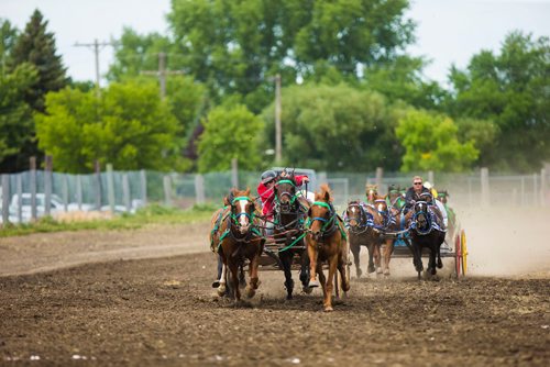 MIKAELA MACKENZIE / WINNIPEG FREE PRESS
Buddy Prouse comes in first in the pony chuckwagon races at the Manitoba Stampede in Morris on Thursday, July 19, 2018. 
Mikaela MacKenzie / Winnipeg Free Press 2018.