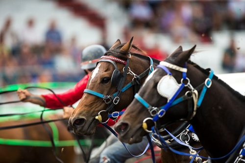 MIKAELA MACKENZIE / WINNIPEG FREE PRESS
The Manitoba Stampede takes place in Morris on Thursday, July 19, 2018. 
Mikaela MacKenzie / Winnipeg Free Press 2018.