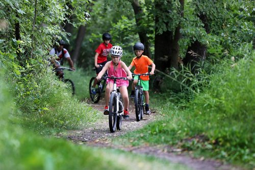 RUTH BONNEVILLE / WINNIPEG FREE PRESS

Standup  photo 


Mike Pizzi and his three kids, Jianna (9yrs, pink), Julen (9yrs, twin, orange) and Luca (red), bike the trails to a lunch spot where they planned to have a picnic at Beaudry Park Monday.  




July 23,  2018 

