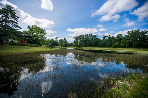 MIKAELA MACKENZIE / WINNIPEG FREE PRESS
The pond in King's Park in Winnipeg on Tuesday, July 24, 2018. 
Winnipeg Free Press 2018.