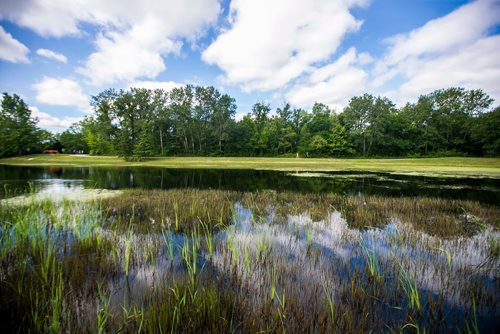 MIKAELA MACKENZIE / WINNIPEG FREE PRESS
The pond in King's Park in Winnipeg on Tuesday, July 24, 2018. 
Winnipeg Free Press 2018.