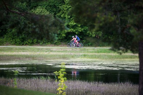 MIKAELA MACKENZIE / WINNIPEG FREE PRESS
The pond in King's Park in Winnipeg on Tuesday, July 24, 2018. 
Winnipeg Free Press 2018.