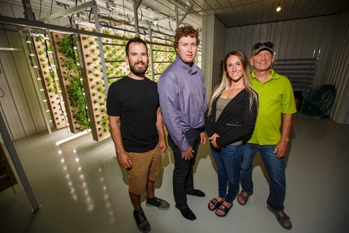 MIKE DEAL / WINNIPEG FREE PRESS
(from left) Kale Rempel, Joel Alvestad, Kacee Laninga, and Larry Rempel with Vertical Air Farms which runs the first aerobic greenhouse farm in Manitoba, and possibly Canada. Plants are grown without soil.
180726 - Thursday, July 26, 2018.
