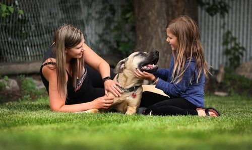 RUTH BONNEVILLE / WINNIPEG FREE PRESS

Pet Page, Ashley Prest story. 

Foster mom, Misty Titterton and her daughter Gianna Kilmister (10yrs), play with their foster dog Storm, a mastiff cross, in their backyard Tuesday.  Storm has been in rescue/foster care since October and needs a home. He was living in a northern community with a badly broken leg (left)  when two volunteers saw him and got the owner to agree to surrender him. Surgery/rehab cost $7,000 covered by the Giant Breed Rescue of Winnipeg.


July  31,  2018 

