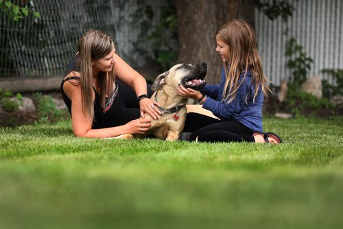 RUTH BONNEVILLE / WINNIPEG FREE PRESS

Pet Page, Ashley Prest story. 

Foster mom, Misty Titterton and her daughter Gianna Kilmister (10yrs), play with their foster dog Storm, a mastiff cross, in their backyard Tuesday.  Storm has been in rescue/foster care since October and needs a home. He was living in a northern community with a badly broken leg (left)  when two volunteers saw him and got the owner to agree to surrender him. Surgery/rehab cost $7,000 covered by the Giant Breed Rescue of Winnipeg.


July  31,  2018 

