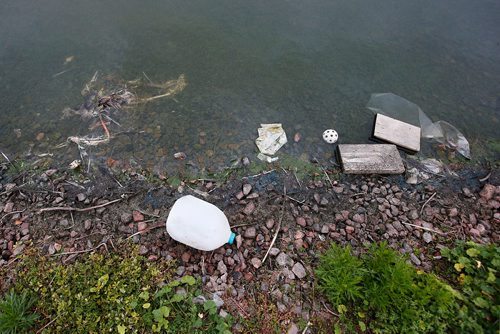 JOHN WOODS / WINNIPEG FREE PRESS
Dead birds and construction garage litter the banks of a pond at Adsum and Keewatin Tuesday, July 31, 2018.