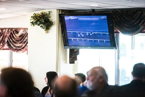 MIKAELA MACKENZIE / WINNIPEG FREE PRESS
The audience watches footage from the 1967 Manitoba Derby at the Manitoba Derby draw lunch at the Assiniboia Downs in Winnipeg on Thursday, Aug. 2, 2018. 
Winnipeg Free Press 2018.