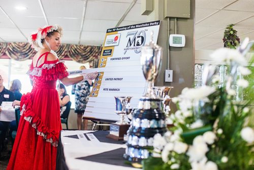 MIKAELA MACKENZIE / WINNIPEG FREE PRESS
Francine Fournier, this year's derby belle, puts the names in their slots at the Manitoba Derby draw lunch at the Assiniboia Downs in Winnipeg on Thursday, Aug. 2, 2018. 
Winnipeg Free Press 2018.