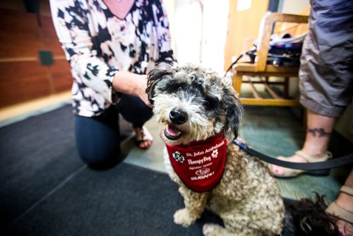 MIKAELA MACKENZIE / WINNIPEG FREE PRESS
Teresa Toutant, director of community services for St. John Ambulance, presents Donamae Hilton, and her dog, Mark-Cuss, with a bandana certifying Mark-cuss as a therapy dog for the organization in Winnipeg on Thursday, Aug. 2, 2018. 
Winnipeg Free Press 2018.